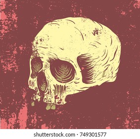 Skull drawn by hand. Isolated skull on grunge background. Skull with shadows in the eye sockets.