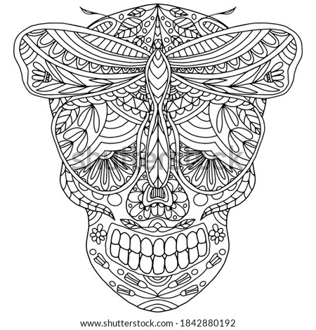 skull drawn with floral ornaments and a butterfly with flowers in folk style for coloring on a white background, vector, butterfly, skull