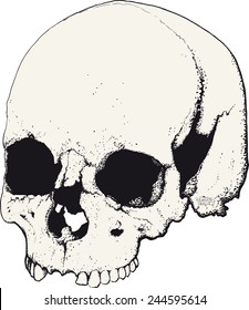 skull drawn as tattoo in profile isolated on white