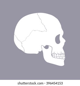 skull emblem, sign