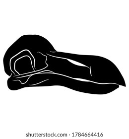 Skull of extinct bird dodo. (Raphus cucullatus). Black and white silhouette. Isolated vector illustration. 