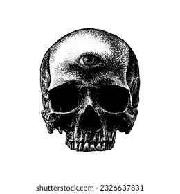 skull with eye hand drawing vector isolated on white background.