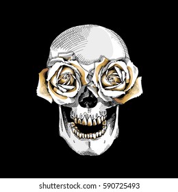 Skull with the eyes gold roses flowers. Vector illustration