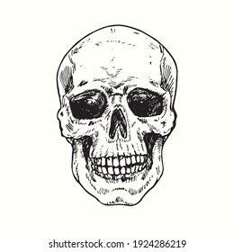 Skull face, front view. Ink black and white drawing. Vector illustration