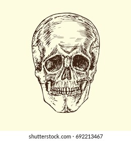 Skull face, hand drawn doodle, sketch in woodcut style, black and white vector illustration