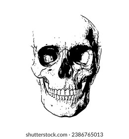 Skull Face Head Illustration Vector EPS PNG Transparent No Background Clip Art 