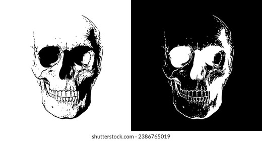 Skull Face Head Illustration Vector EPS PNG Transparent No Background Clip Art 