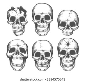 Skull face sketch set. Scary skulls drawing with broken jaw and shot through for tattoo or human anatomy skeleton etching isolated vector illustration