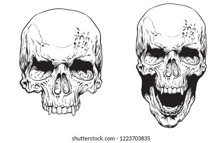 Skull with fangs vector