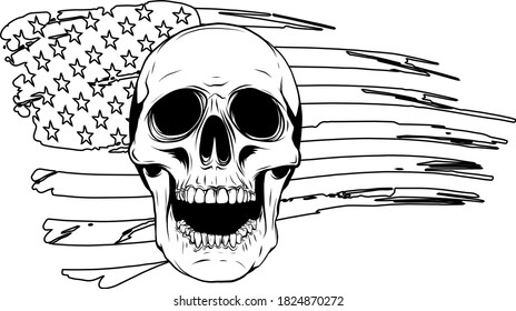 Skull and flag usa. Vector illustration graphics