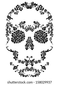 Skull with floral ornament. Vector illustration 