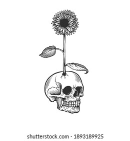 A skull and a flower. Can be used as a sketch of a tattoo.