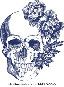 Skull with flowers. Blue on a white background. Typographic graphic print, trendy pattern for t-shirts.