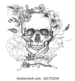 Skull   Flowers Day The Dead  Vintage Vector illustration