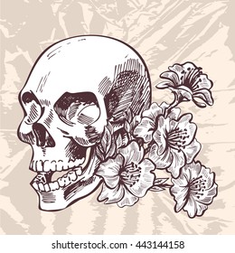 Skull and flowers hand drawing sketch on grunge paper background.  de Muertos. Day of the Dead. Vector illustration. 