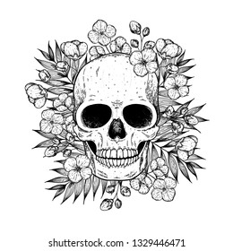 Skull and flowers hand drawn illustration. Tattoo vintage print. Skull sketch.