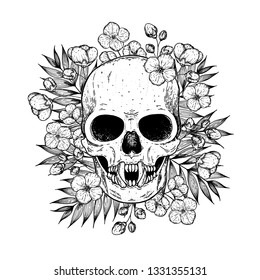 Skull and flowers hand drawn illustration. Tattoo vintage print. Vampire skull sketch.