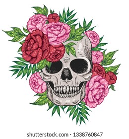 Skull and flowers hand drawn illustration. Tattoo vintage print. Floral vampire skull.