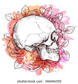 Skull And Flowers. Hand Drawn Sketch With Watercolor Effect