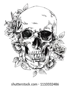 
Skull with flowers, with roses. Drawing by hand. Vector. Illustrator 10.