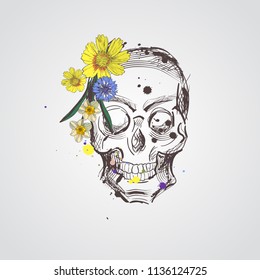 Skull with flowers. Vector hand drawn skull with wild flowers. Skull with flowers isolated on white background
