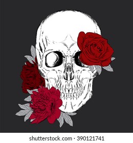 Skull and flowers. Vector illustration.