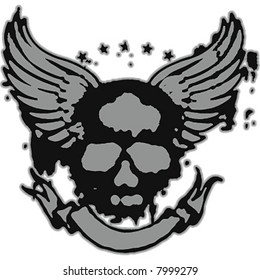 skull flying emblem