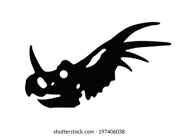 skull fossil  dinosaur