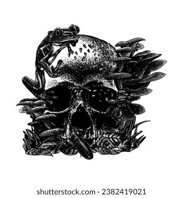 skull, frog, mushrooms and cockroach hand drawing vector isolated on white background.