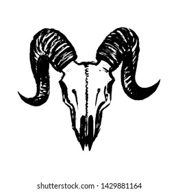 Skull Of A Goat - Grunge