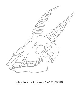skull goat. hand drawn vector illustration, isolated on white background