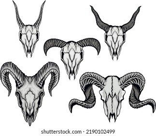 skull of goat and ram