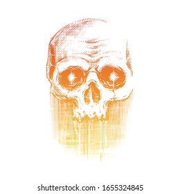 Skull gradient graphic illustration vector art t-shirt design