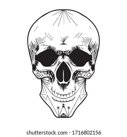 skull graphic design vector illustration, art sketch sketch, face, print use on t-shirts, human head, anatomy, hand draw, background picture