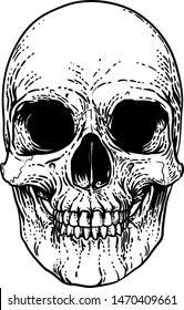 A skull graphic. Original illustration in a vintage engraving woodcut etching style.
