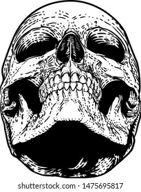 A skull graphic. Original illustration in a vintage engraving woodcut etching style.
