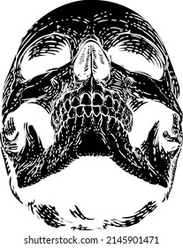 A skull graphic. Original illustration in a vintage engraving woodcut etching style.
