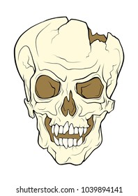 The skull of a grinning vampire. Vector color illustration of a tattoo style isolated on a white background.