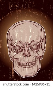Skull with grunge and glowing background