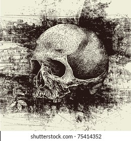 skull and grunge vector background