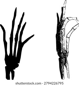 skull hand in a certain pose