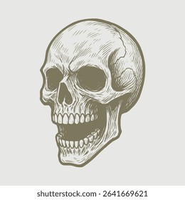 Skull hand drawing on white background