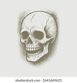 Skull hand drawing on white background