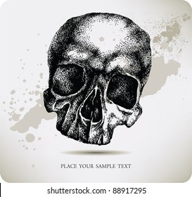 Skull hand drawing. Vector illustration.