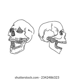 skull hand drawn doodle illustrations vector set