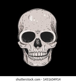 Skull hand drawn illustration. Tattoo vintage print. Colorful skull. Vector print 