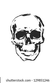 Calavera. Dibujado a mano. Vector.