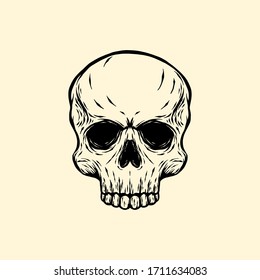 skull hand drawn vector illustration