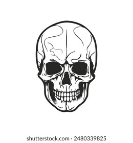 Ilustración vectorial de calavera dibujada a mano