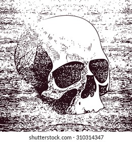 Skull. Hand drawn. Vector illustration in grunge style.